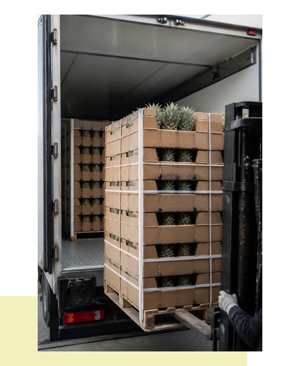 Перевозка ананасов в Мытищи с соблюдением температурного режима